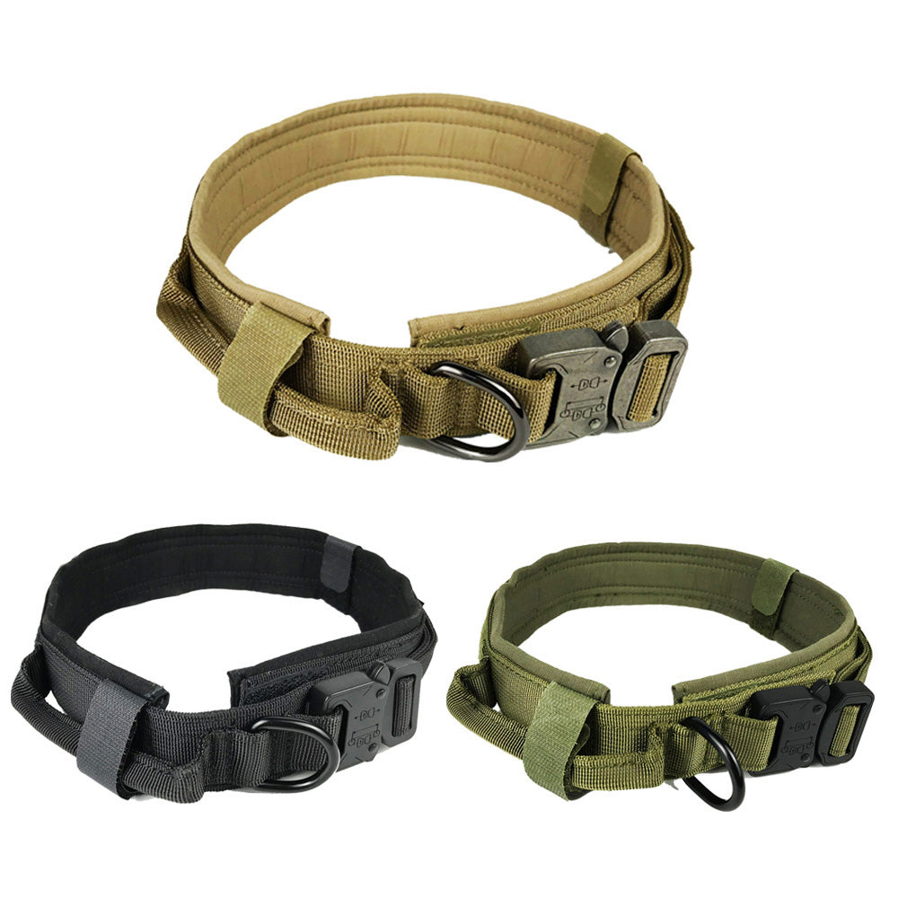 Nylon Dog Collar – 12 Colors, Adjustable, All Sizes