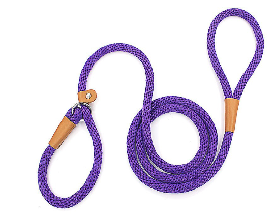Nylon Dog Training Leash