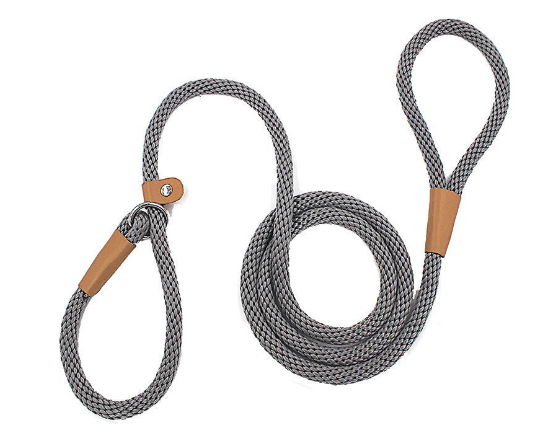 Nylon Dog Training Leash