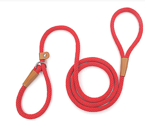 Nylon Dog Training Leash