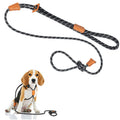2-in-1 Dog Harness & Leash