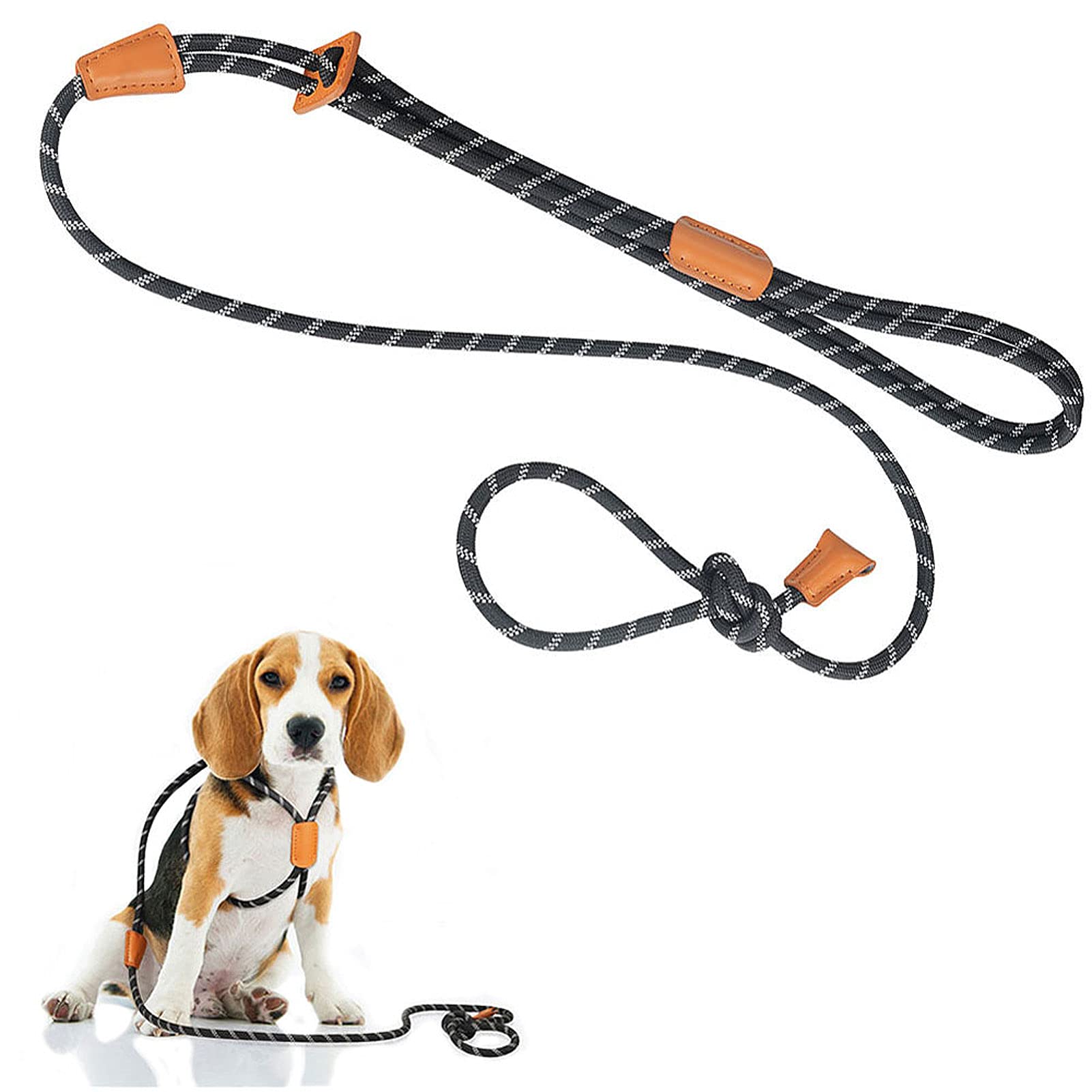 2-in-1 Dog Harness & Leash
