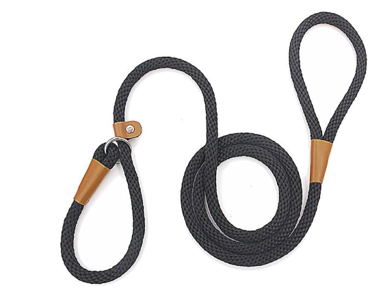 Nylon Dog Training Leash