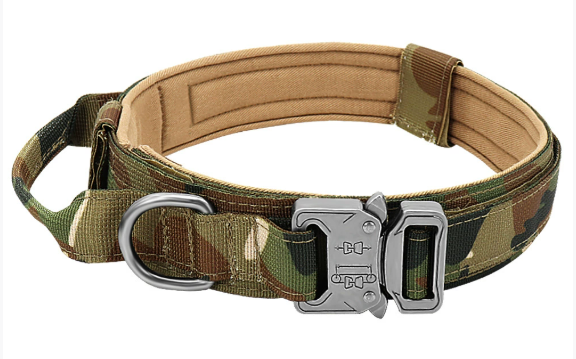Nylon Dog Collar – 12 Colors, Adjustable, All Sizes
