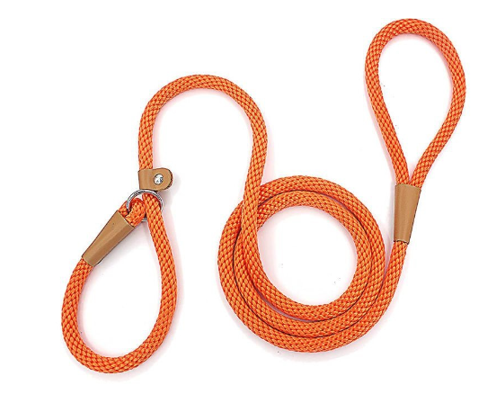 Nylon Dog Training Leash