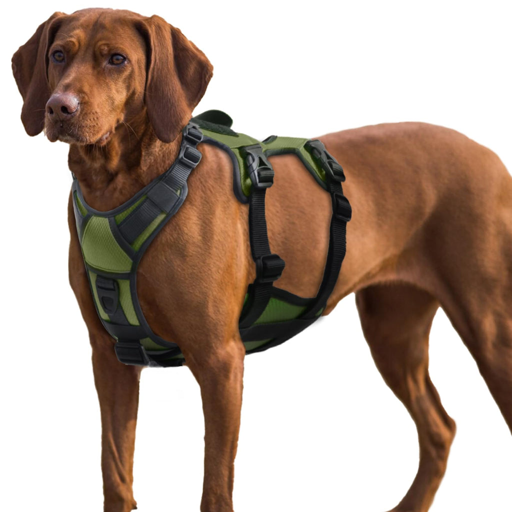 Escape Proof Dog Harness with Lift Handle – Large
