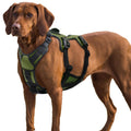 Escape Proof Dog Harness with Lift Handle – Large