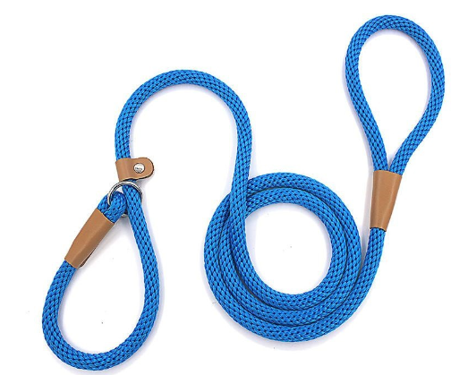 Nylon Dog Training Leash