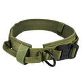 Nylon Dog Collar – 12 Colors, Adjustable, All Sizes
