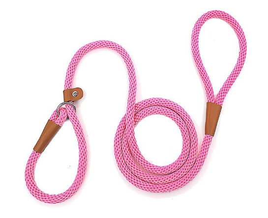 Nylon Dog Training Leash