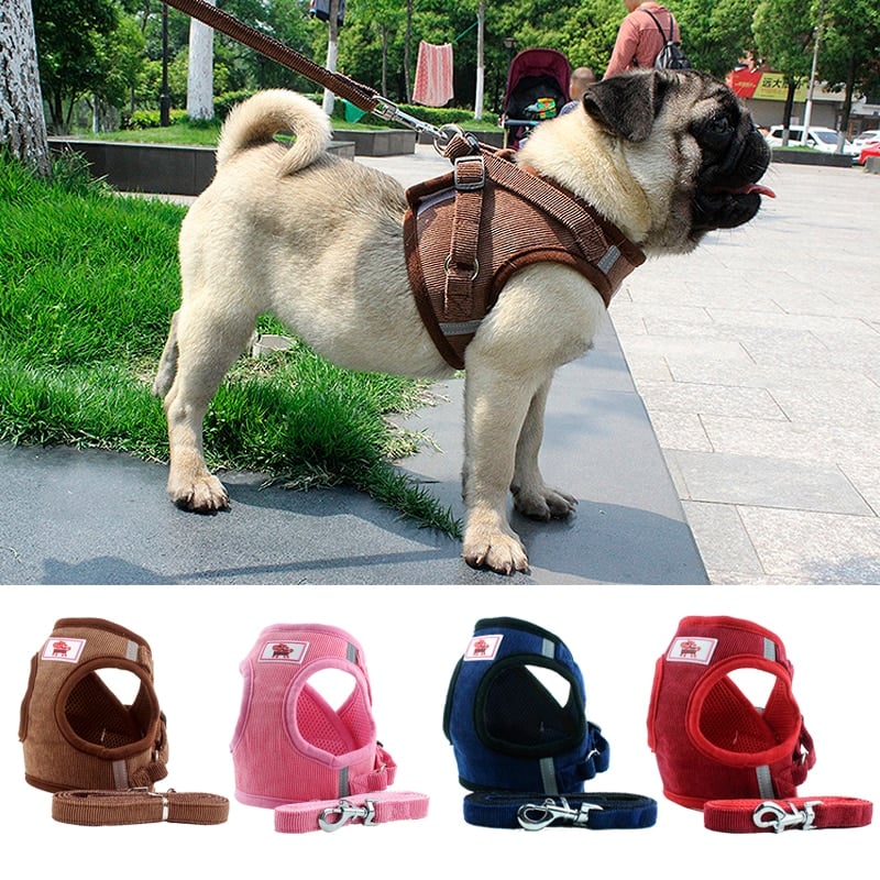 Reflective Dog Harness with Chain Attachment