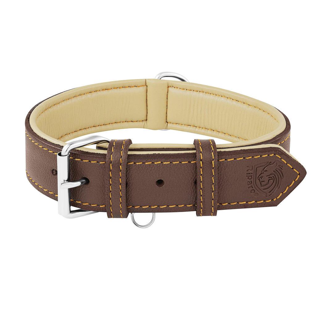 Wide Leather Dog Collar – 2 Inch, Extra Large Breeds